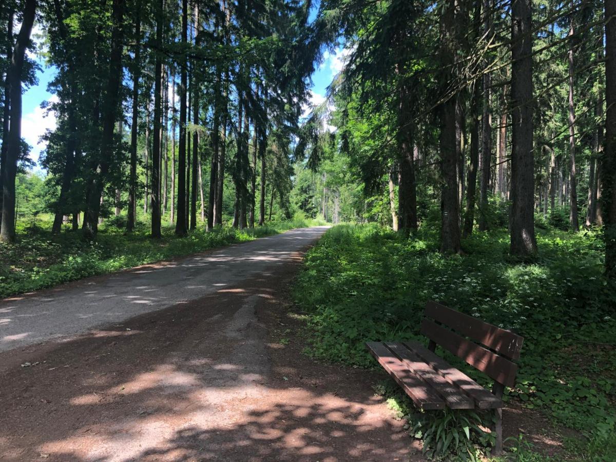 Apartmany Jevany Zewnętrze zdjęcie